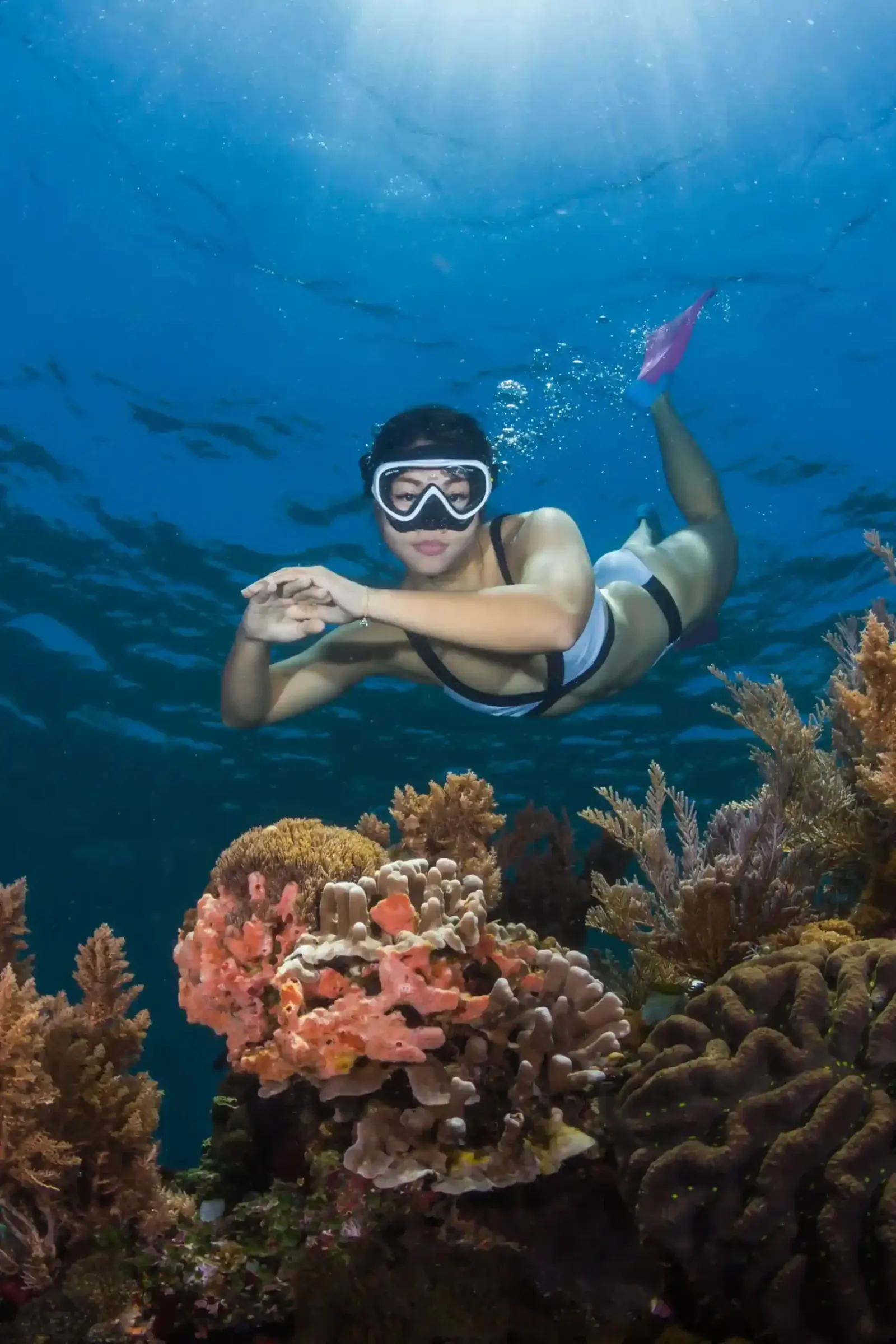 Snorkeller over a coral garden