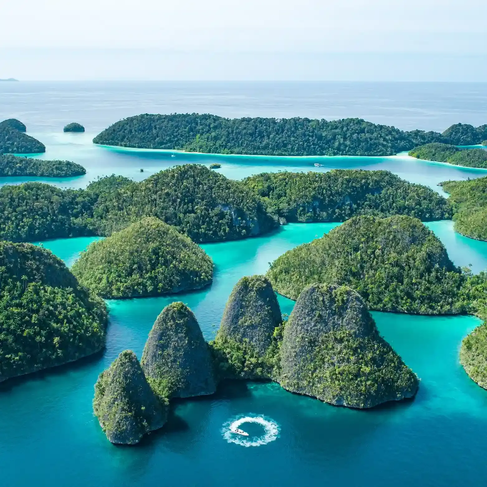 Raja Ampat’s northern realm thrives